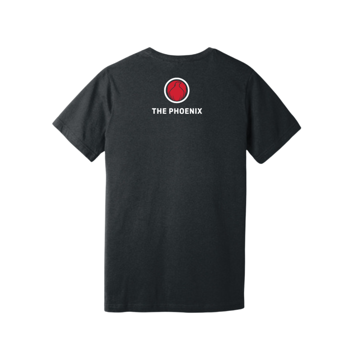 SOBER Ally Unisex T-Shirt